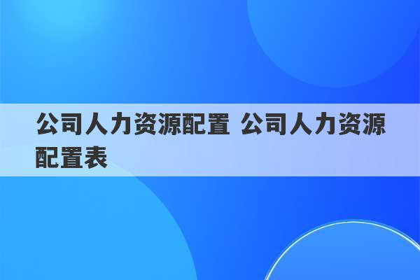 公司人力资源配置 公司人力资源配置表