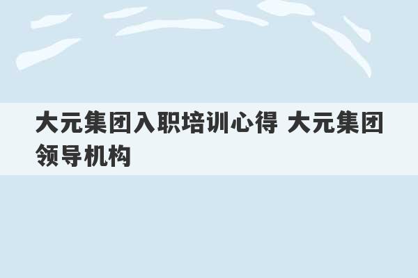 大元集团入职培训心得 大元集团领导机构