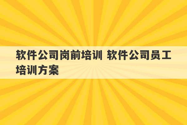 软件公司岗前培训 软件公司员工培训方案