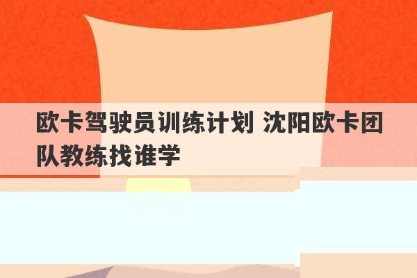 欧卡驾驶员训练计划 沈阳欧卡团队教练找谁学