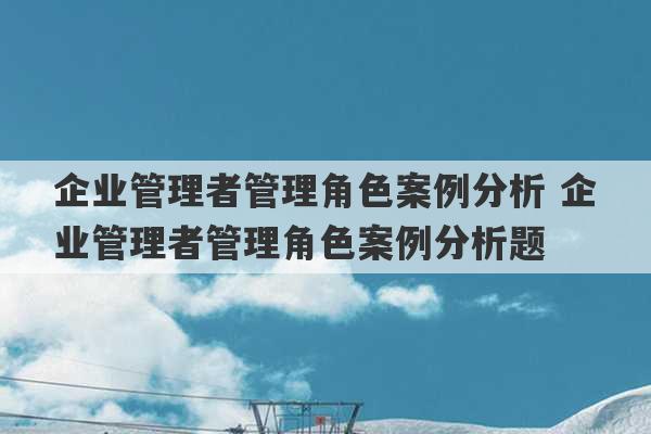 企业管理者管理角色案例分析 企业管理者管理角色案例分析题