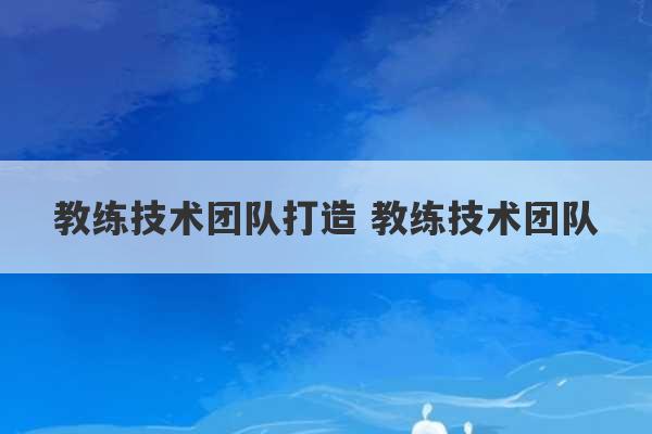 教练技术团队打造 教练技术团队