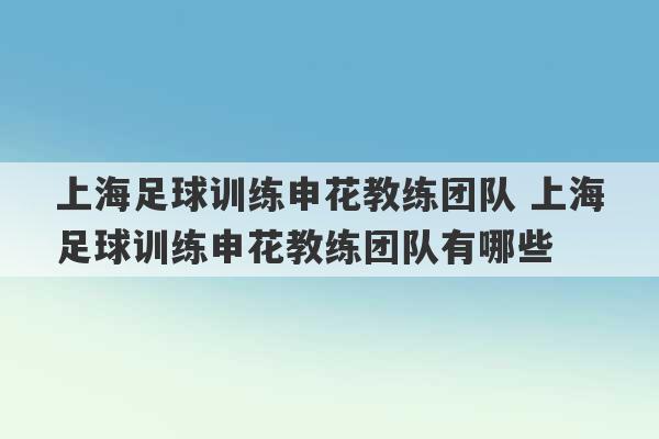 上海足球训练申花教练团队 上海足球训练申花教练团队有哪些