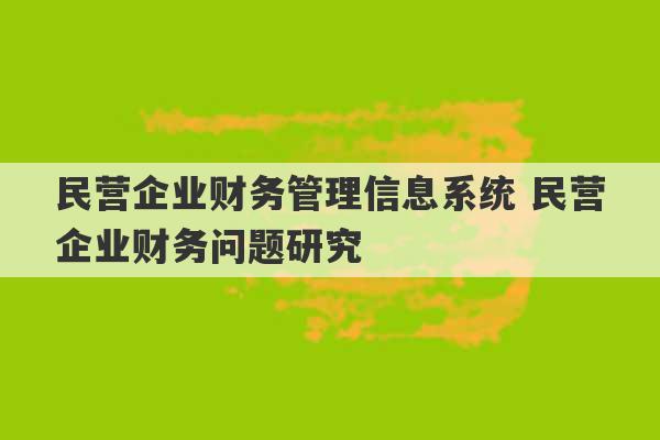 民营企业财务管理信息系统 民营企业财务问题研究