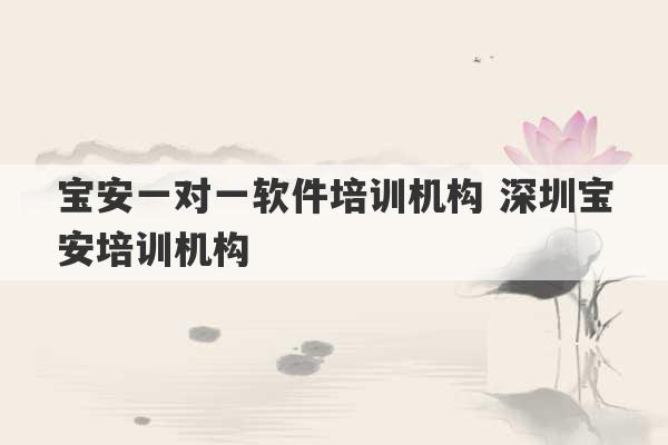 宝安一对一软件培训机构 深圳宝安培训机构