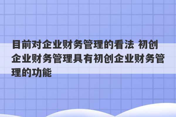 目前对企业财务管理的看法 初创企业财务管理具有初创企业财务管理的功能