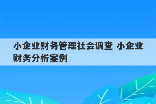 小企业财务管理社会调查 小企业财务分析案例