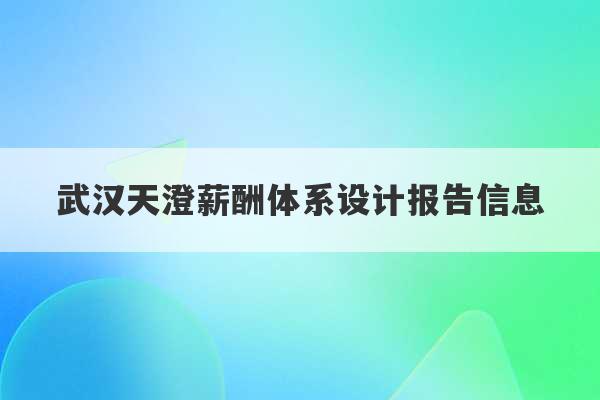 武汉天澄薪酬体系设计报告信息