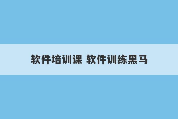 软件培训课 软件训练黑马