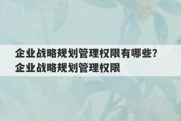 企业战略规划管理权限有哪些？ 企业战略规划管理权限