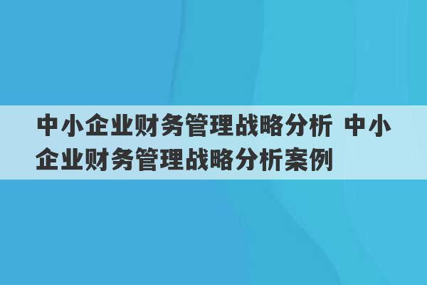 中小企业财务管理战略分析 中小企业财务管理战略分析案例