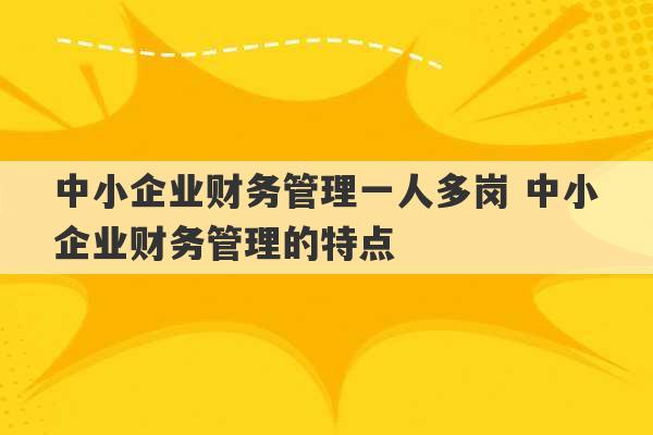 中小企业财务管理一人多岗 中小企业财务管理的特点