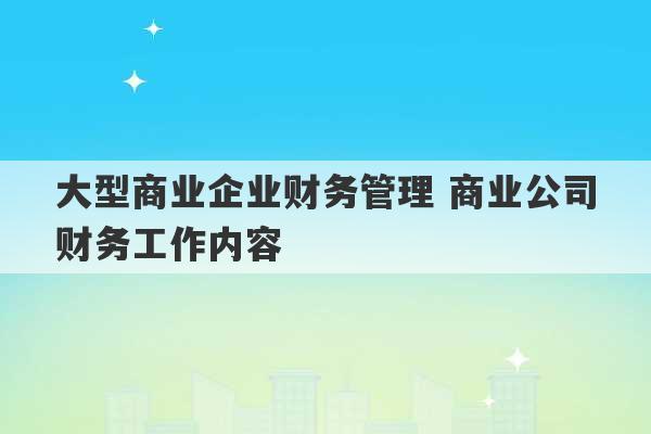 大型商业企业财务管理 商业公司财务工作内容