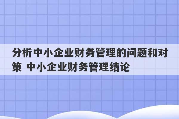 分析中小企业财务管理的问题和对策 中小企业财务管理结论