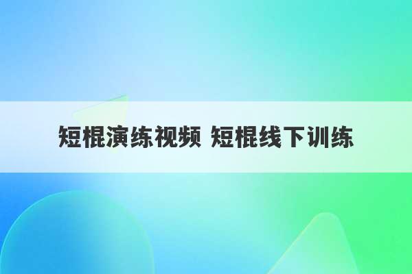 短棍演练视频 短棍线下训练