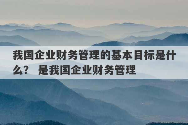 我国企业财务管理的基本目标是什么？ 是我国企业财务管理