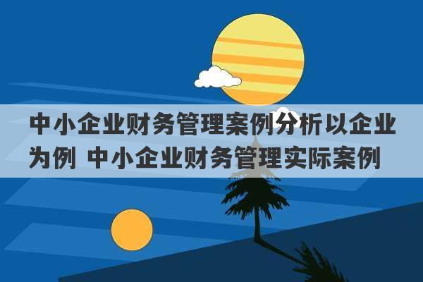 中小企业财务管理案例分析以企业为例 中小企业财务管理实际案例