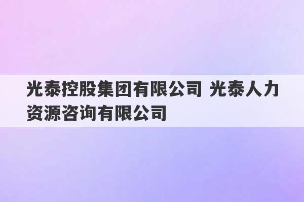 光泰控股集团有限公司 光泰人力资源咨询有限公司