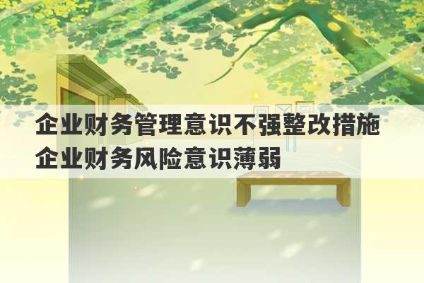 企业财务管理意识不强整改措施 企业财务风险意识薄弱