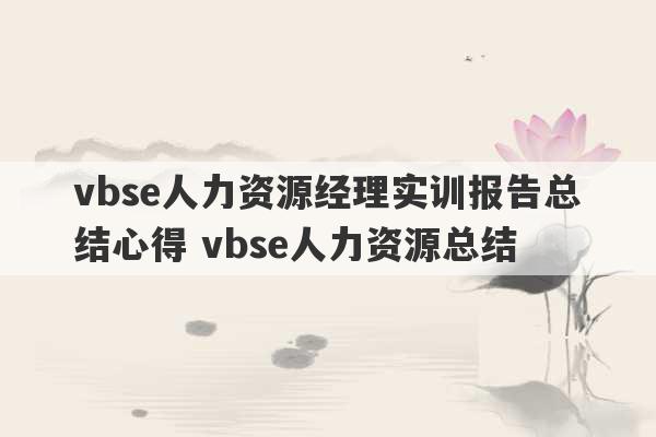 vbse人力资源经理实训报告总结心得 vbse人力资源总结