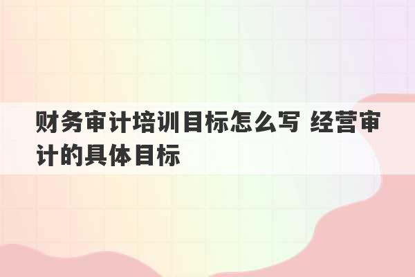 财务审计培训目标怎么写 经营审计的具体目标