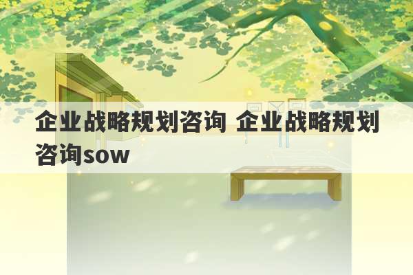 企业战略规划咨询 企业战略规划咨询sow