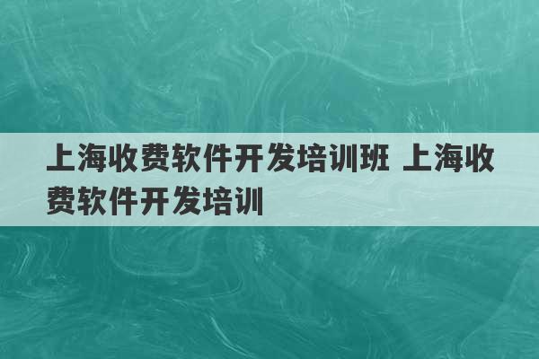 上海收费软件开发培训班 上海收费软件开发培训