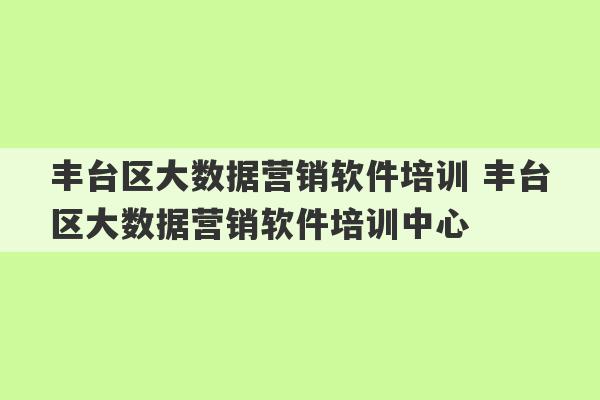 丰台区大数据营销软件培训 丰台区大数据营销软件培训中心