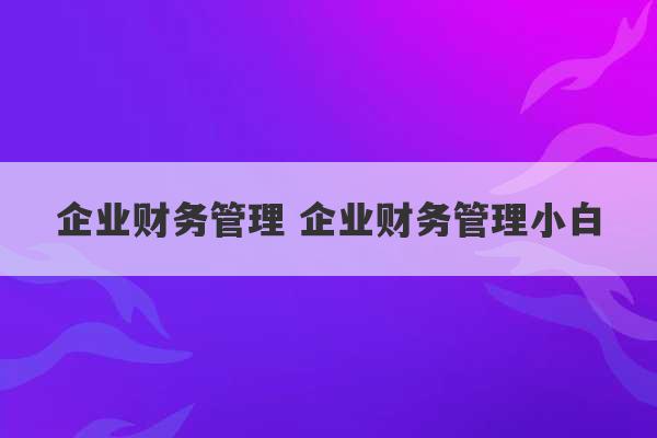 企业财务管理 企业财务管理小白