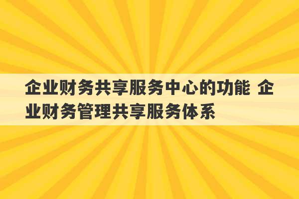 企业财务共享服务中心的功能 企业财务管理共享服务体系