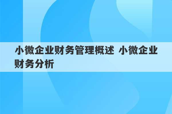 小微企业财务管理概述 小微企业财务分析