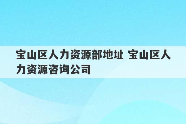 宝山区人力资源部地址 宝山区人力资源咨询公司