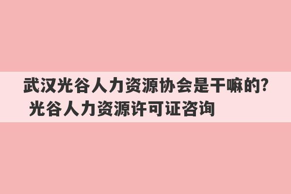 武汉光谷人力资源协会是干嘛的? 光谷人力资源许可证咨询