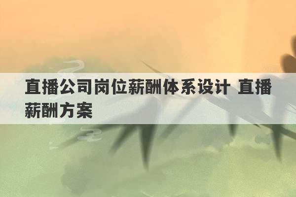 直播公司岗位薪酬体系设计 直播薪酬方案