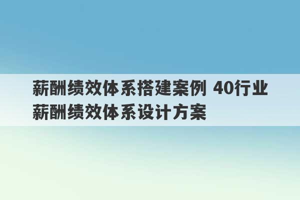 薪酬绩效体系搭建案例 40行业薪酬绩效体系设计方案