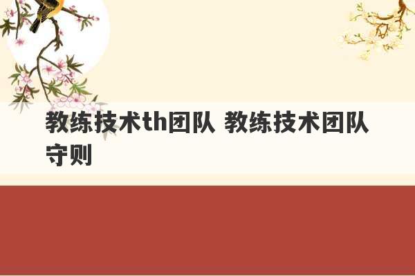 教练技术th团队 教练技术团队守则