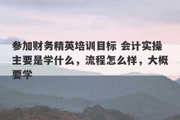 参加财务精英培训目标 会计实操主要是学什么，流程怎么样，大概要学