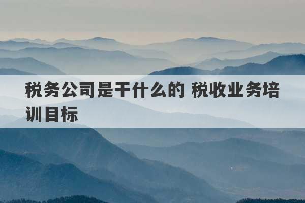 税务公司是干什么的 税收业务培训目标