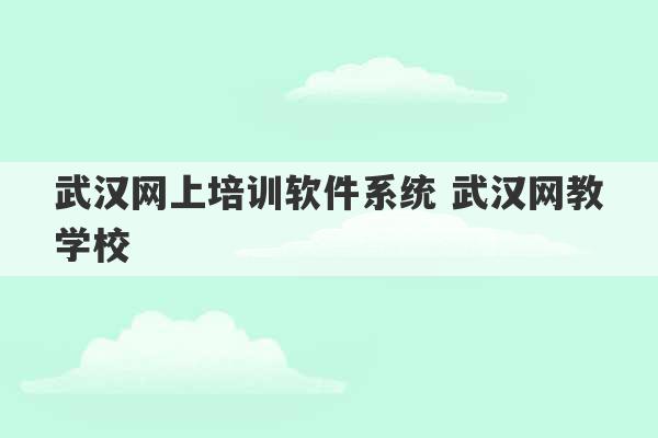 武汉网上培训软件系统 武汉网教学校