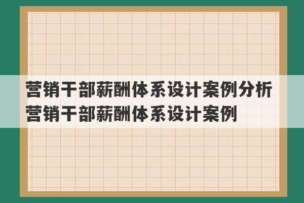 营销干部薪酬体系设计案例分析 营销干部薪酬体系设计案例