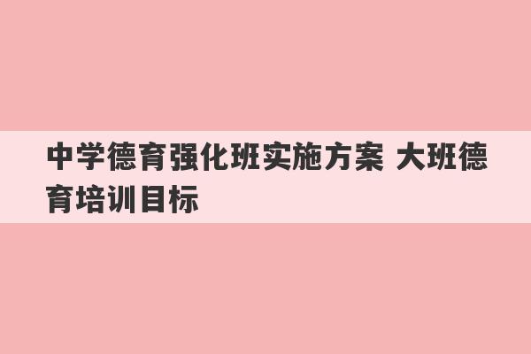 中学德育强化班实施方案 大班德育培训目标