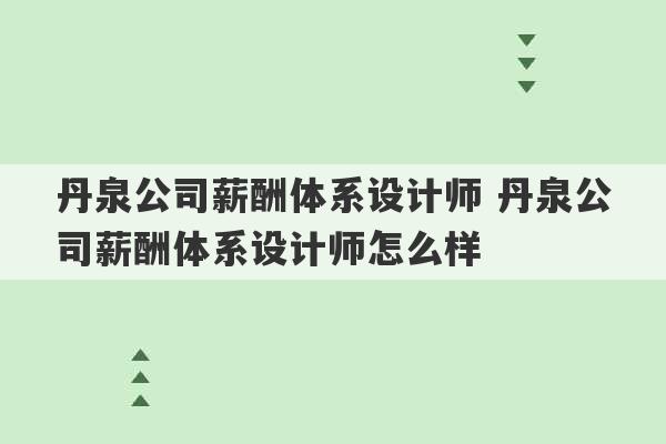 丹泉公司薪酬体系设计师 丹泉公司薪酬体系设计师怎么样