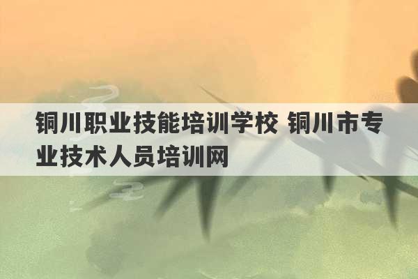 铜川职业技能培训学校 铜川市专业技术人员培训网