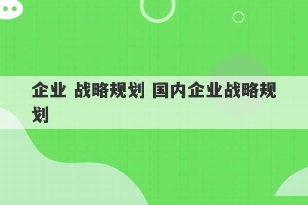 企业 战略规划 国内企业战略规划