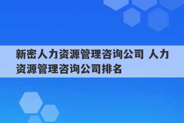 新密人力资源管理咨询公司 人力资源管理咨询公司排名