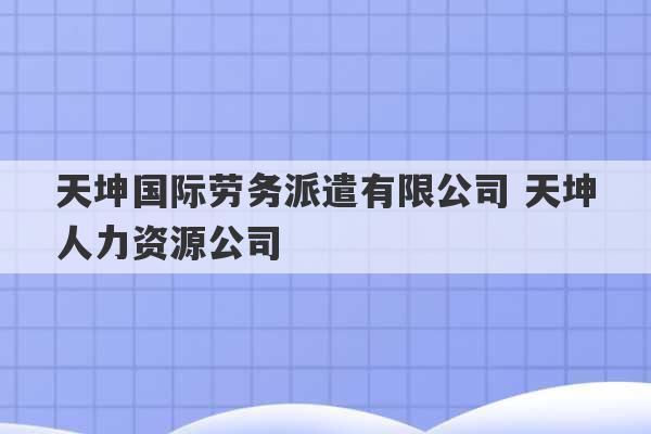 天坤国际劳务派遣有限公司 天坤人力资源公司