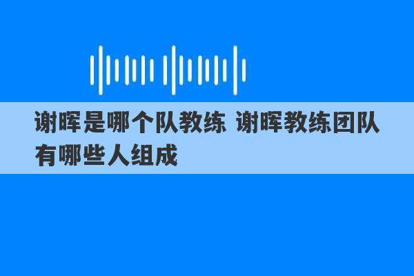 谢晖是哪个队教练 谢晖教练团队有哪些人组成