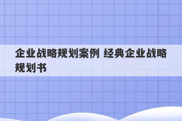 企业战略规划案例 经典企业战略规划书