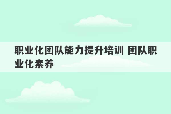 职业化团队能力提升培训 团队职业化素养