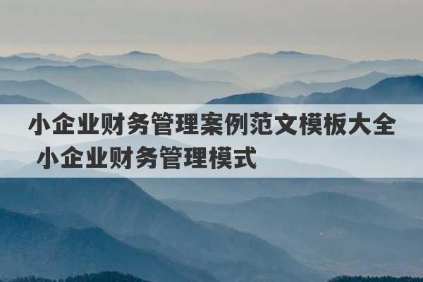 小企业财务管理案例范文模板大全 小企业财务管理模式